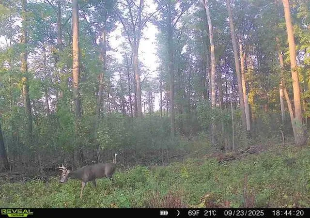 3rd image of Xxx Fleming Logging Rd, Hinckley, MN 55037 | MLS# 7077710