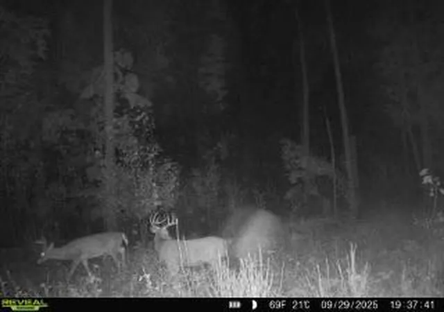 4th image of Xxx Fleming Logging Rd, Hinckley, MN 55037 | MLS# 7077710