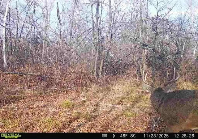 5th image of Xxx Fleming Logging Rd, Hinckley, MN 55037 | MLS# 7077710