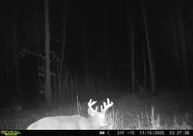 8th image of Xxx Fleming Logging Rd, Hinckley, MN 55037 | MLS# 7077710