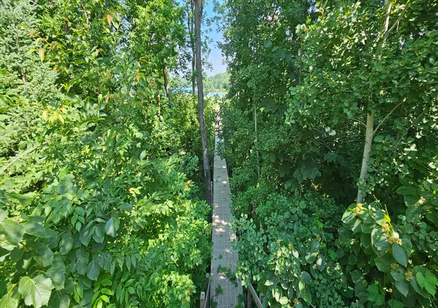 Photo 4 of Single family home for sale at 1735 Arborvitae Ln NE, Bemidji, MN 56601 | MLS# 7077723 | Listing updated on 2026-10-05