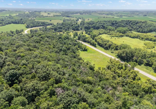 Photo 3 of Land for sale at 56160 County Rd 21, Mazeppa, MN 55956 | MLS# 7077882 | Listing updated on 2026-08-11