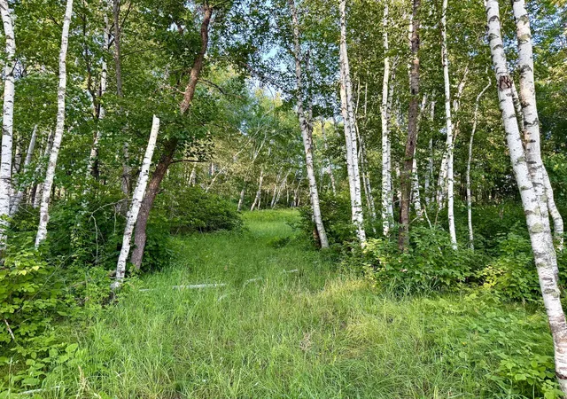 4th image of L17B1 Acorn Ridge Rd Nw, Bemidji, MN 56601 | MLS# 7078023