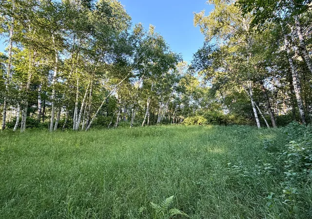 5th image of L18B1 Acorn Ridge Rd Nw, Bemidji, MN 56601 | MLS# 7078132