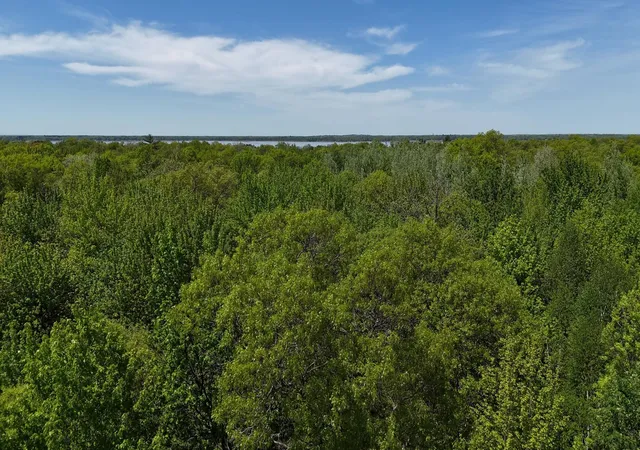 64th image of 12913 Dobbins Rd, Merrifield, MN 56465 | MLS# 7078187