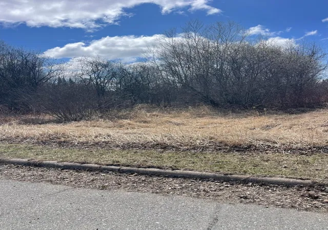5th image of 87Xx Arbor Ln, Mountain Iron, MN 55768 | MLS# 7078313