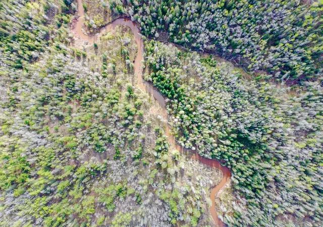 Photo 3 of Land for sale at 992 Nemadji River Rd, Holyoke, MN 55749 | MLS# 7078635 | Listing updated on 2026-09-14
