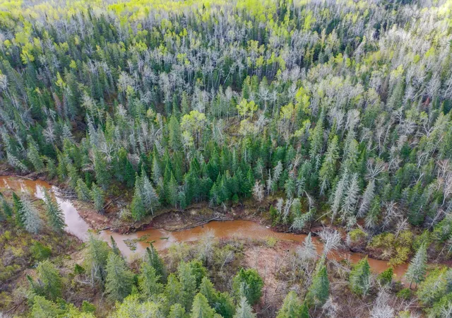 Photo 3 of Land for sale at 992 Nemadji River Rd, Holyoke, MN 55749 | MLS# 7078635 | Listing updated on 2026-09-14