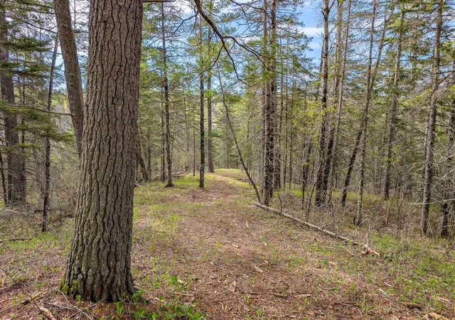 Photo 4 of Land for sale at 992 Nemadji River Rd, Holyoke, MN 55749 | MLS# 7078635 | Listing updated on 2026-09-14