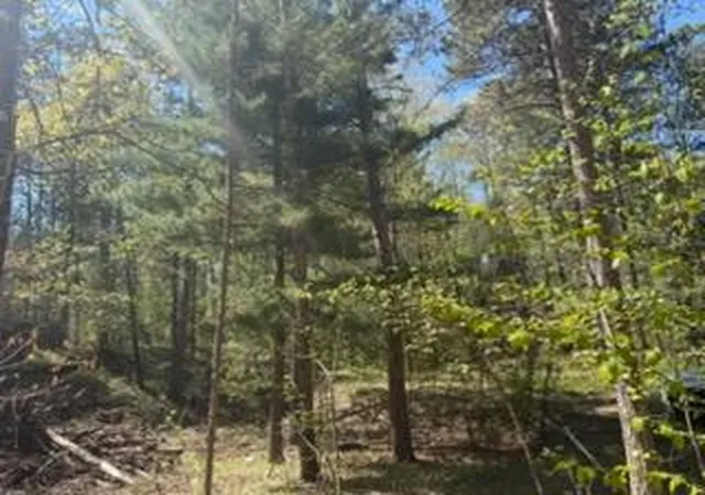 10th image of 8293 Interlachen Rd, Nisswa, MN 56468 | MLS# 7078836