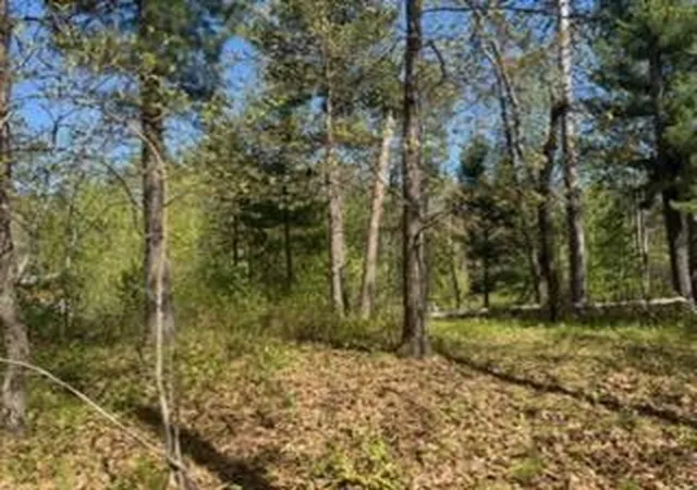 3rd image of 8293 Interlachen Rd, Nisswa, MN 56468 | MLS# 7078836