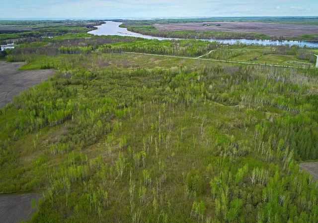 Photo 1 of Land for sale at Tbd State Hwy 172 Cliff, Baudette, MN 56623 | MLS# 7078948 | Listing updated on 2026-05-27