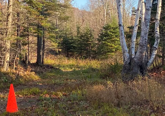 2nd image of 5121 Mount Rockwood Rd, Beaver Bay Twp, MN 55614 | MLS# 7078949