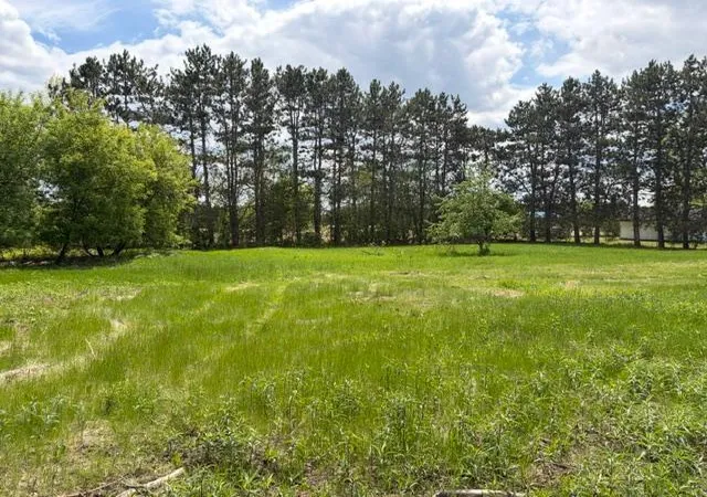 Homes for sale in Mora, MN | 2059 Hwy 70, Mora, MN 55051 | MLS# 7078979