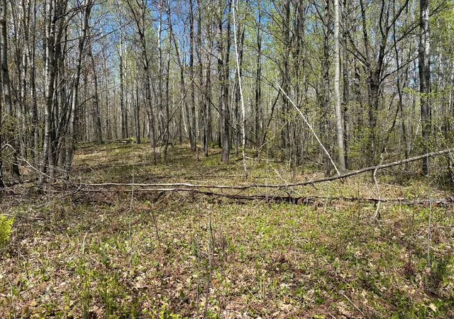 3rd image of 854X W Chub Lake Rd, Carlton, MN 55718 | MLS# 7078986