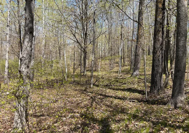 4th image of 854X W Chub Lake Rd, Carlton, MN 55718 | MLS# 7078986