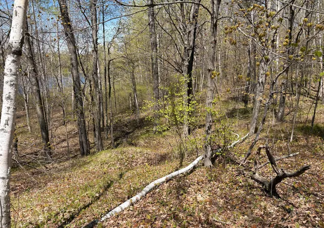 5th image of 854x W Chub Lake Rd, Carlton, MN 55718 | MLS# 7078986