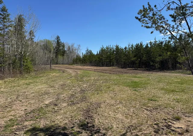 Homes for sale in Roseau, MN | Tbd Thompson Forest Rd, Roseau, MN 56751 | MLS# 7079132