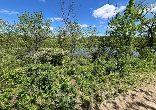 3rd image of 513 Old Bench St, Red Wing, MN 55066 | MLS# 7079146
