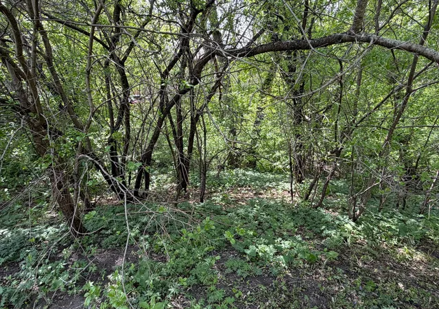 4th image of 202 W Everett Ave, Fergus Falls, MN 56537 | MLS# 7079261