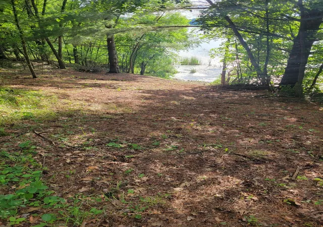 45th image of 19483 County Road 43, Richmond, MN 56368 | MLS# 7079713