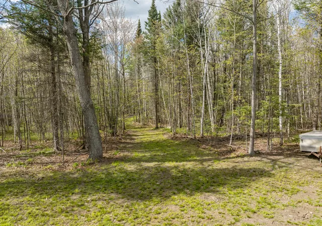 Homes for sale in Hill City, MN | 35020 E County Line Rd, Hill City, MN 55748 | MLS# 7079871