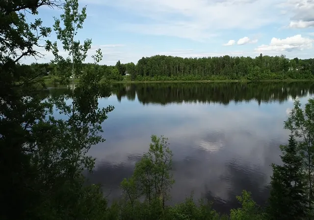 86th image of 11777 State Hwy 11 Se, Baudette, MN 56623 | MLS# 7080032