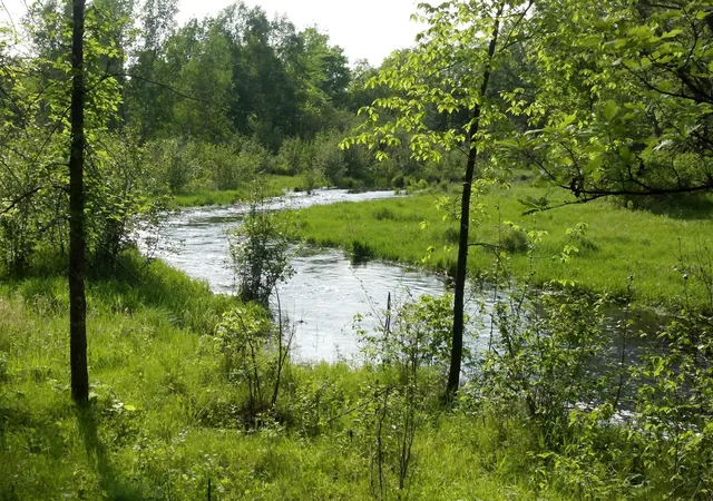 1st image of 10005 Rice Rd, Brook Park, MN 55007 | MLS# 7080205