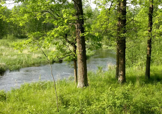 2nd image of 10005 Rice Rd, Brook Park, MN 55007 | MLS# 7080205