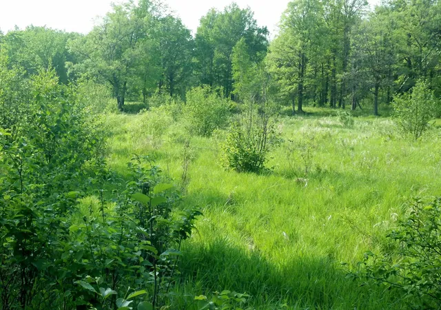 3rd image of 10005 Rice Rd, Brook Park, MN 55007 | MLS# 7080205