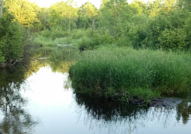 5th image of 10005 Rice Rd, Brook Park, MN 55007 | MLS# 7080205