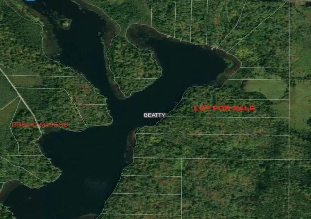 1st image of 4251 North Arm E, Cook, MN 55723 | MLS# 7080874