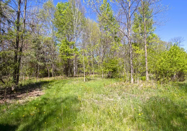 Photo 4 of Land for sale at Tbd Northland Trl, Lindstrom, MN 55045 | MLS# 7081281 | Listing updated on 2026-07-10