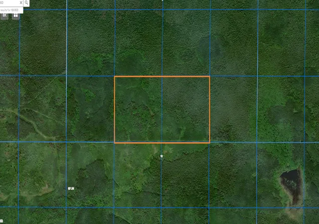 Homes for sale in Littlefork, MN | Tbd County Road 8, Littlefork, MN 56653 | MLS# 7081657