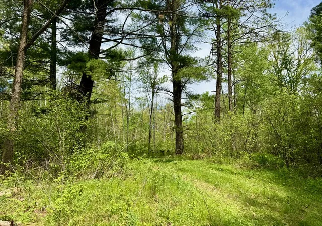 1st image of Xyz County Road 39, Willow River, MN 55795 | MLS# 7081678