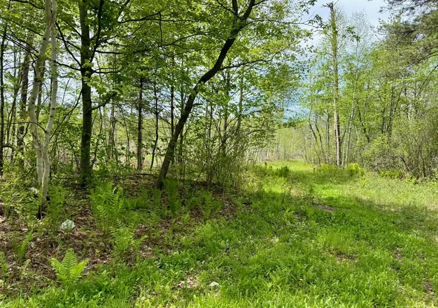 3rd image of Xyz County Road 39, Willow River, MN 55795 | MLS# 7081678