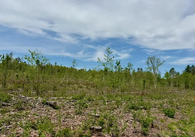 4th image of Xyz County Road 39, Willow River, MN 55795 | MLS# 7081678