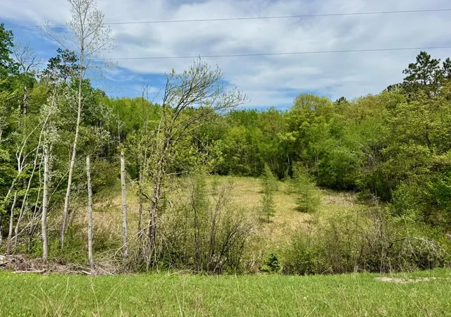 5th image of Xyz County Road 39, Willow River, MN 55795 | MLS# 7081678