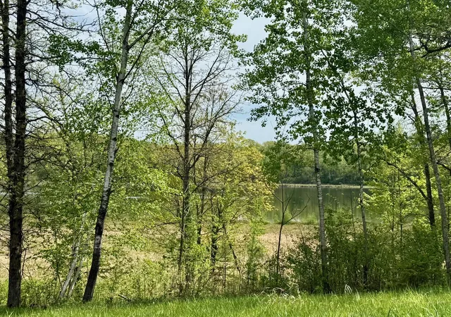 1st image of Xyz Dailey Lake Road, Willow River, MN 55795 | MLS# 7081865