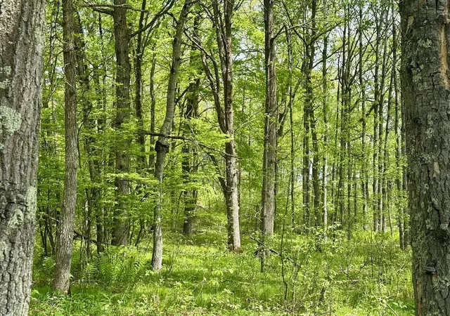 2nd image of Xyz Dailey Lake Road, Willow River, MN 55795 | MLS# 7081865