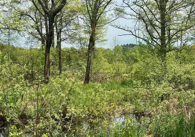 3rd image of Xyz Dailey Lake Road, Willow River, MN 55795 | MLS# 7081865