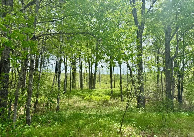 5th image of Xyz Dailey Lake Road, Willow River, MN 55795 | MLS# 7081865
