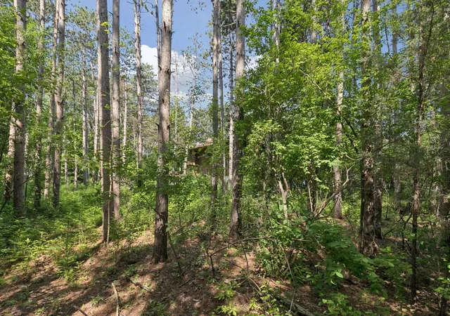 Photo 3 of Land for sale at Tbd Krattley Ln N, Hudson, WI 54016 | MLS# 7081944 | Listing updated on 2026-06-12