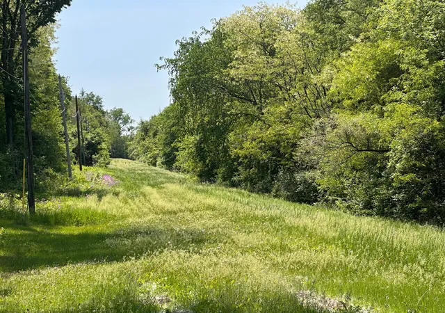 1st image of Tbd Pullman Ave, Saint Paul Park, MN 55071 | MLS# 7082201