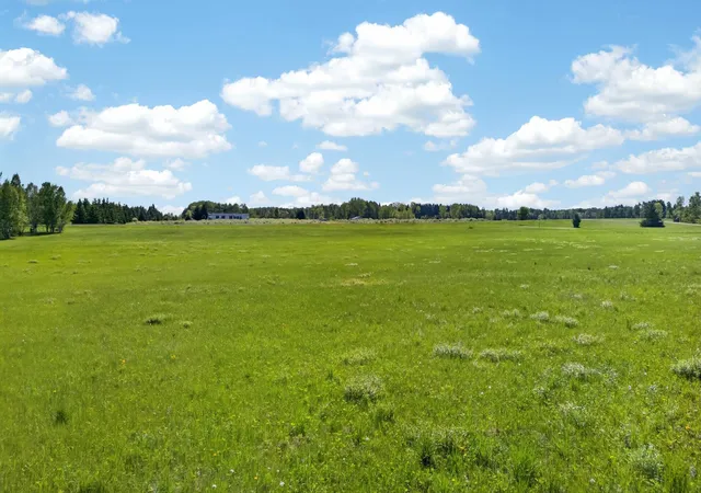 Homes for sale in Hinckley, MN | 000 Dahl Rd, Hinckley, MN 55037 | MLS# 7082303