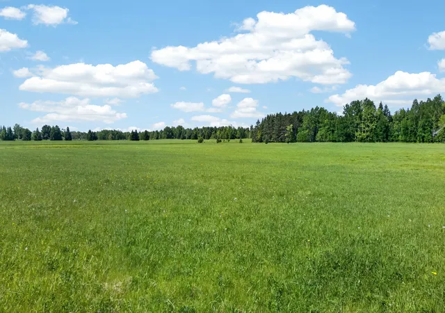 Homes for sale in Hinckley, MN | 000 Dahl Rd, Hinckley, MN 55037 | MLS# 7082303