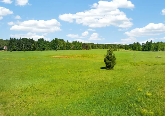Homes for sale in Hinckley, MN | 000 Dahl Rd, Hinckley, MN 55037 | MLS# 7082303