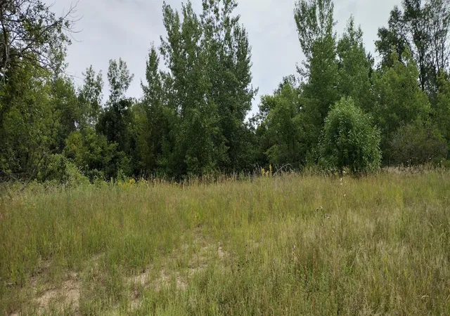 Homes for sale in Underwood, MN | 28023 County Hwy 1, Underwood, MN 56586 | MLS# 7082742