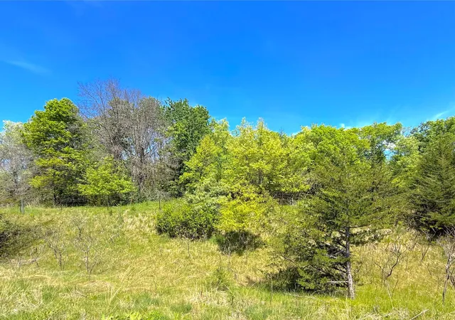 Homes for sale in Clearwater, MN | 210Xx County Road 75, Clearwater, MN 55320 | MLS# 7083126