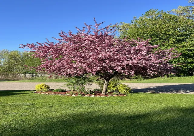 53rd image of 15528 Austin St Ne, Andover, MN 55304 | MLS# 7083625